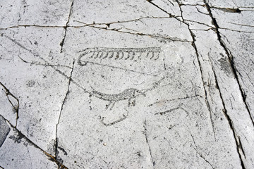 Obraz premium Felsritzungen aus der Bronzezeit in Schweden