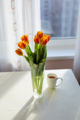 Spring orange tulips in a vase  near the window