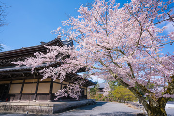 京都　南禅寺の桜