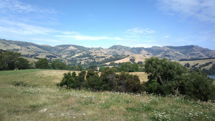 Naklejka premium New Zealand