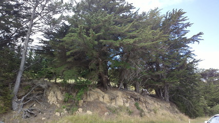 Fototapeta premium New Zealand