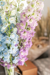 Bunch of fresh delphinium on table. Bouquet of delphinium. gradient flowers from blue to purple