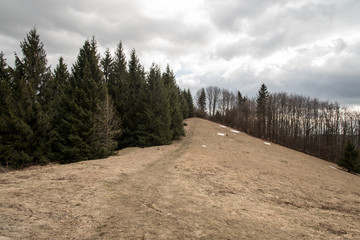 Sedlo pod Malou Kykulou bellow Kozubova hill in early spring Moravskoslezske Beskydy mountains in...