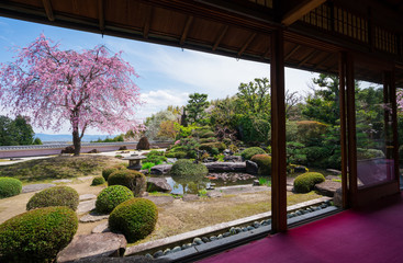 京都　正法寺（しょうぼうじ）の石庭と紅枝垂れ桜