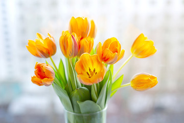 Spring tulips  in a vase near the window