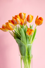 Spring tulips  in a vase near on rose background