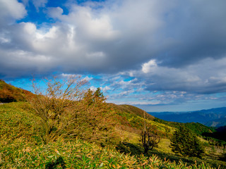 【静岡県伊豆半島】伊豆山稜線歩道からの風景【秋・だるま山周辺】