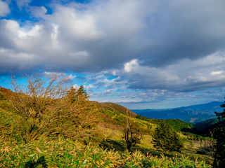 【静岡県伊豆半島】伊豆山稜線歩道からの風景【秋・だるま山周辺】