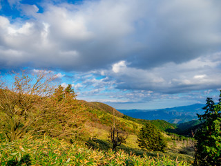 【静岡県伊豆半島】伊豆山稜線歩道からの風景【秋・だるま山周辺】