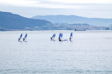doing windsurfing in the ocean