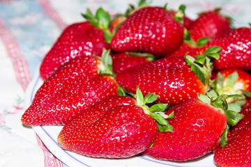 plate of fresh fresh on background