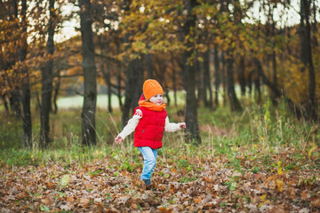 A child on a walk in the autumn park