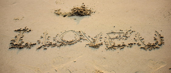 Obraz premium I love you. Write on the beach on the beach in the early morning of the day before the water rises.