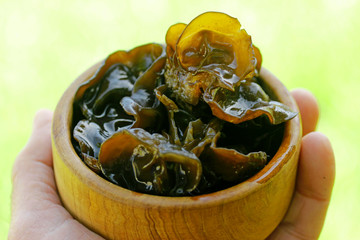 Fototapeta premium Wood ear fungus. Jews ear. Auricularia auricula-judae