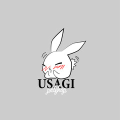 usagi petshop with rabbit illustration