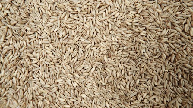 Oat seeds as natural food background. Top view. Healthy diet organic nutrition