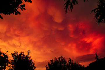 Obraz premium Mammatus Wolkeb