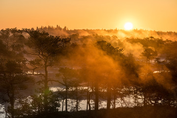 Obraz premium Sunrise in the bog landscape. Misty marsh, lakes nature environment background