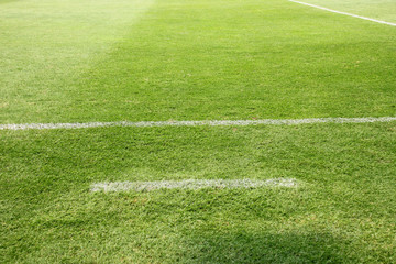 artificial grass football ground