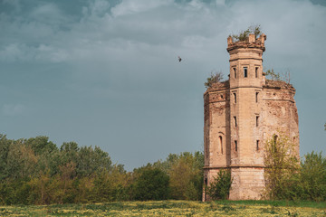 Obraz premium an old abandoned medieval castle in the forest with a beautiful sky