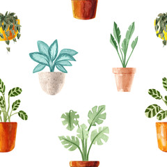 Watercolor houseplants. Hand painted house green plants in flower pots. Flowers isolated on white background.