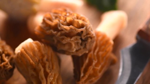 Cooking of morel mushrooms. Edible delicious mushroom, early spring morels on a table, closeup. Morchella. Verpa bohemica. Dolly shot. Slow Motion 4K UHD video footage. 3840X2160