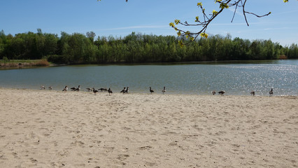 Heidbergsee in Braunschweig