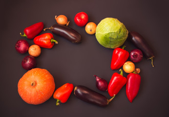 Frame made of different fresh vegetables on dark background.