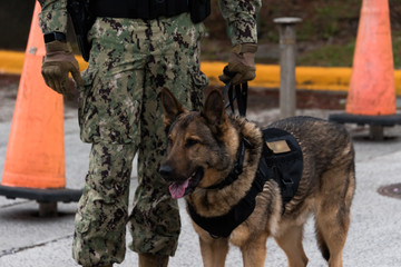 軍人と軍用犬