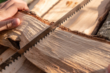 Hand holds a firewood and saws it into the corresponding pieces with a fretsaw.