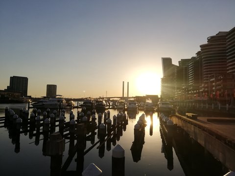 Muelle