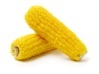 Boiled corn on white background