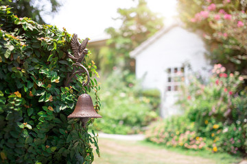 Fototapeta na wymiar vintage copper bell decoration plant wall gate vintage house with garden