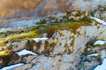 The snow and moss on the ledges of granite rocks