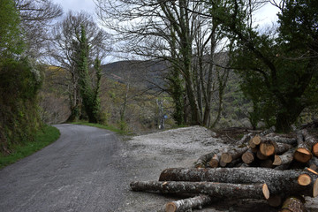 Carretera de la montaña, troncos de madera al lado de la carretera