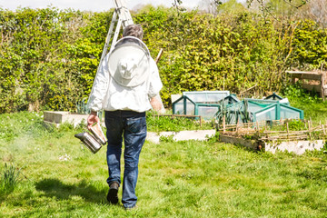 beekeeper walking and inspecting his row of beehives near blossoming field