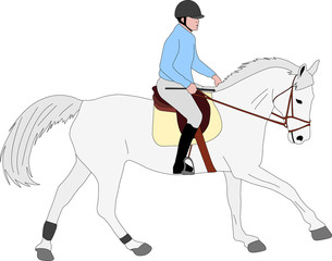 horse riding colored illustration