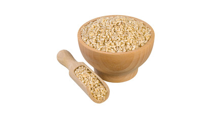 pearl barley in wooden bowl and scoop isolated on white background. nutrition. bio. natural food ingredient.