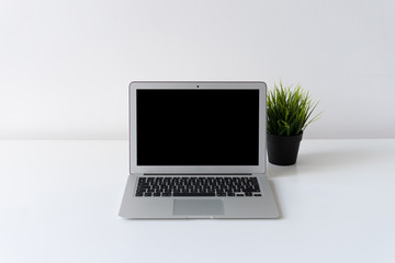 Fototapeta premium Open laptop and green plant on the desk with white background