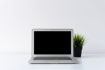 Fototapeta premium Open laptop and green plant on the desk with white background