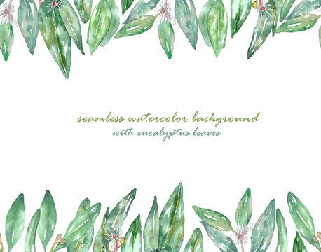 seamless watercolor background with eucalyptus leaves