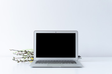 Fototapeta premium Open laptop and easter catkin on the desk with white background