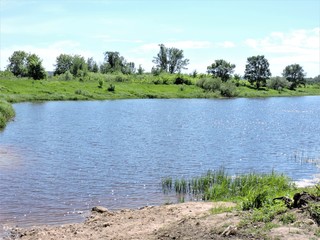 landscape with river and trees