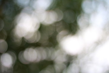 Blur bokeh./ Sparkling green, yellow, bright red, bright orange.
