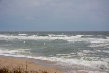 Sandy Surf at Cisco