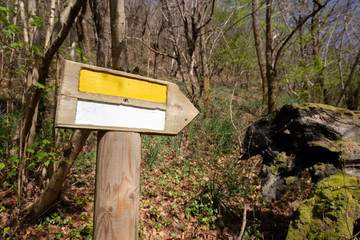 Path wooden sign in the forest