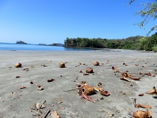 Fototapeta na wymiar Strand mit Kokosnüssen