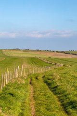 Fototapeta na wymiar A pathway in the South Downs in sussex, on a sunny spring morning