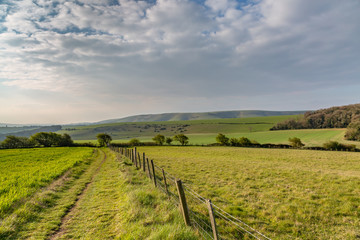 A pathway in the South Downs in sussex, on a sunny spring morning