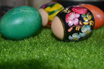 easter eggs in green grass